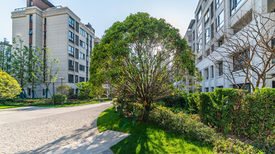 1631931125606164.png image.png