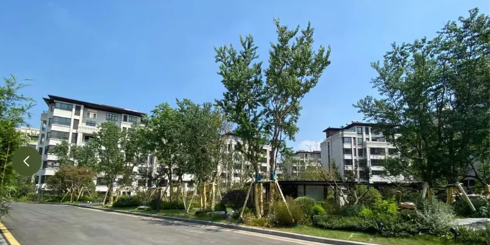 1632465513396225.jpg 19.jpg