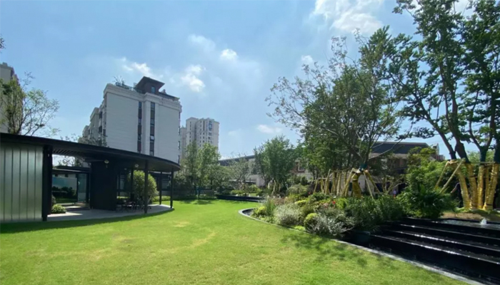 1632465535332178.jpg 20.jpg