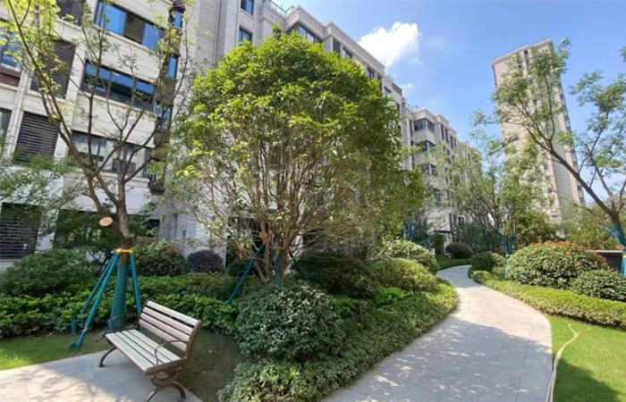 1632465671702075.jpg 25.jpg