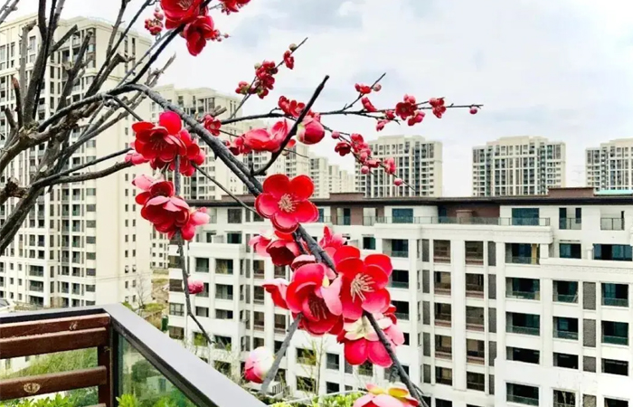 1632536006495033.jpg 3.jpg